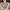 WW | Kaschmir Pullover Damen Luxuriöser Rundhalsausschnitt, Weich & Modisch