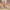 Schritte | Stilvoll und Bequem: Damen Slippers