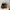 WW | Damen Wildleder Tote Bag Stilvolle Frauentasche