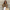 WW | Beige Lederjacke