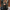WW - Damen Leder Motorradjacke