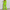 WW – Set aus Blazer und Hose