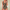 WW | Korrigierender Badeanzug - Damen - Push-Up Bikinioberteil und Elegante V-Ausschnittlinie