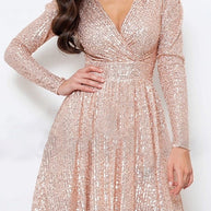 WW | Rosiedress Wrap V-Ausschnitt Taillierte Pailletten Mini Party Kleid