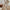 WW | Bequeme Hose aus Leinen