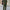 WW | Sommeroutfitsatz in Einfarbiger Farbe