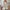 WW | Fließendes Maxi Kleid Elegant