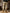 WW | Herren Cargo Hose