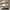 WW | Bequeme Leichte Schuhe mit Rutschfester Flacher Sohle