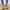 WW | Legende Regenbogen Sneakers