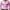 WW | Slim Fit Einfarbiges Baumwollhemd