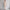 WW | Stilvolles Satz Bestehend Aus Edlem Blazer Und Eleganter Hose