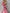 WW | Elegantes Kleid mit Print und Plissiertem Rock