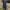 WW | Stilvolles & Bequemes Sommerkleid