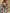 WW | Teddyjacke - bequeme lange Damenjacke