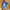 WW | Kurzes Strick Strickjacke Mit Knöpfen Für Damen
