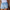 WW | Hip Kurze Hose