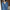 WW | V-Ausschnitt Strickpullover