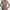 WW | Bequemer Luxus Blazer