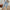 WW | Bequeme Hose aus Leinen