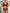 WW | Romantische Dessous für Damen - 2024