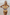 WW | High Waist Colorblock Marine Cut Back Crop Bikini Set