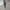 WW | Ausgeschnittene Satin Kleid