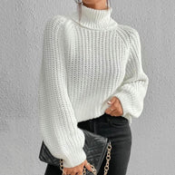 WW | Eleganter Pullover Mit Rollkragen
