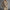 W&W - Couture Strickjacke