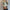 WW | Luxe Schicke Bluse Aus Seide