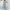 WW | Elegantes Crop-Top- und Maxikleid-Set