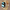Fortgeschrittene Multifunktions-Smartwatch