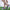 WW | Mesh Obermaterial dicke Sohle Hausschuh