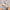 WW | Mesh Obermaterial dicke Sohle Hausschuh