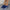 WW | Mesh Obermaterial dicke Sohle Hausschuh