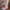 WW | Mesh Obermaterial dicke Sohle Hausschuh