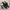 WW | Damen-Sneakers mit Mesh-Farbverlauf