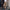 WW | elegante Damenhose mit Spitzenbein