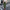 WW | elegante Damenhose mit Spitzenbein