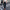WW | elegante Damenhose mit Spitzenbein