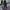 WW | elegante Damenhose mit Spitzenbein