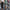 WW | elegante Damenhose mit Spitzenbein