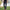 WW | Casual-Herrenhose aus Baumwolle mit elastischem Bund