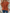 WW | Damen T-Shirt Modisch