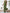 WW | Eleganter Ärmelloser Jumpsuit Mit Schmeichelhafter Passform