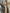 WW - Maxi Eleganz: Brautkleid mit Schlips