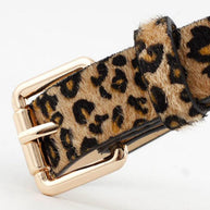 WW | Tailleband Aus Polyurethan Mit Regulärer Passform