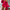 WW | Teiliges Satin Pyjama Satz Barbara