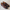 WW | Echtes Leder Slipper