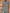 WW | Bluse mit Relaxed Fit - Stilvolle und Bequeme Damenbluse